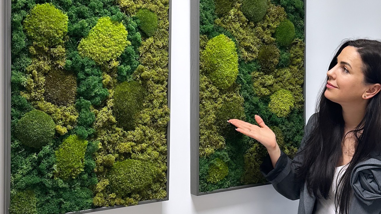 LR darbo ministerijos projektas 11